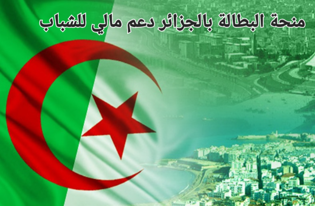 رابط تسجيل منحة العاطلين عن العمل بالجزائر 2024 من موقع الوكالة الوطنية برقم الهوية