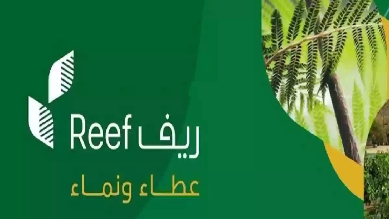 بشرى سارة للمزارعي المملكة… وزارة البيئة والمياه والزراعة تحدد وعد الدعم الريفي والشروط المطلوبة