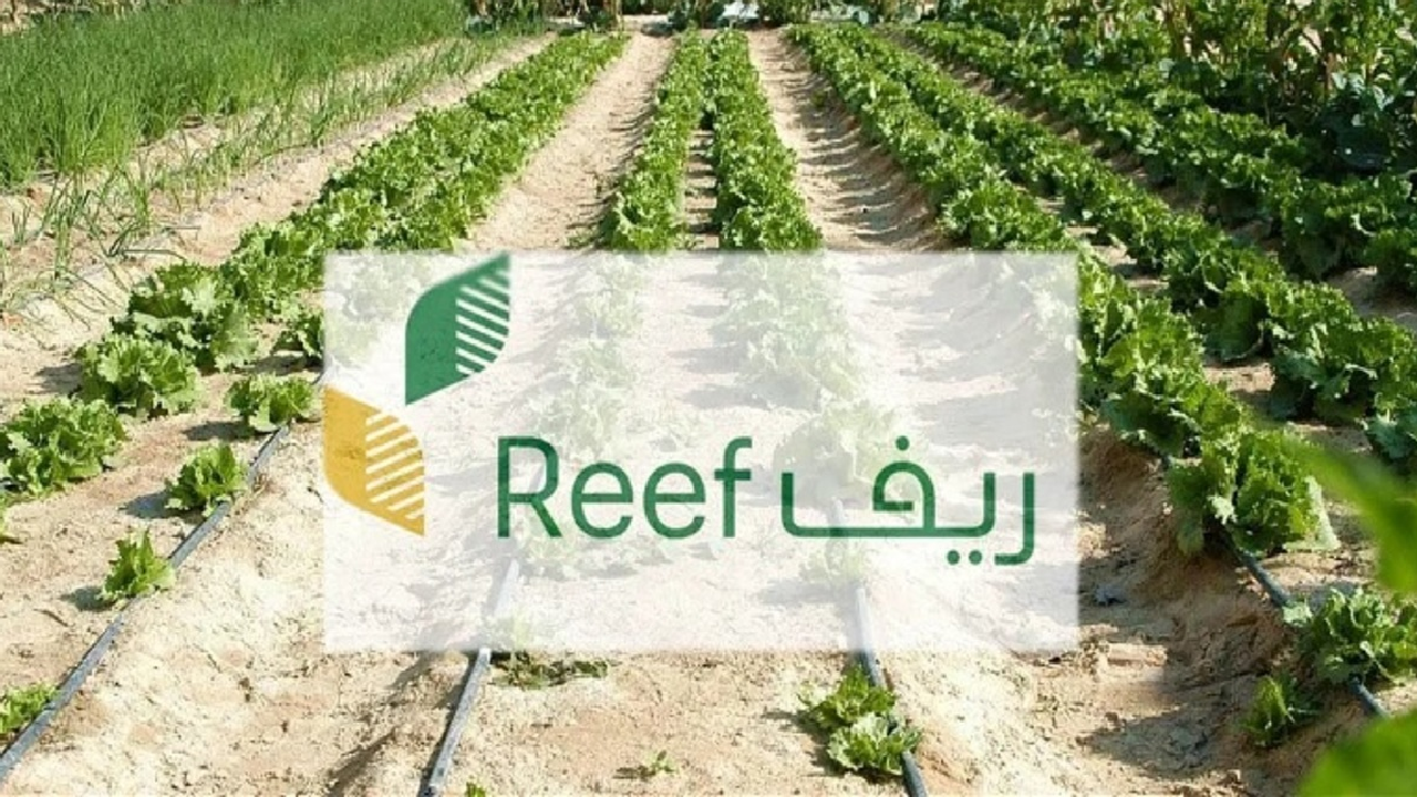 “خبر سار”… وزارة البيئة والمياه والزراعة تصرح دعم ريف يصل حسابات المستفيدين في هذا الموعد