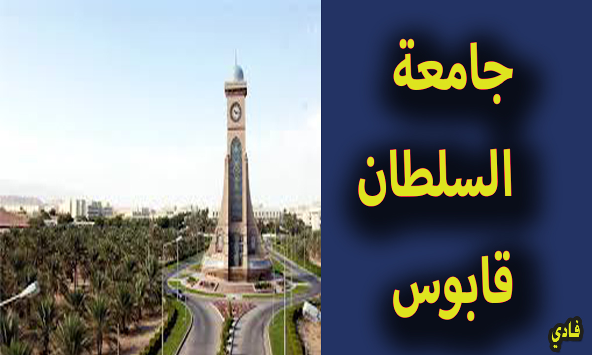 كيفية التسجيل في وظائف جامعة السلطان قابوس squ.edu.om المنصة الرسمية