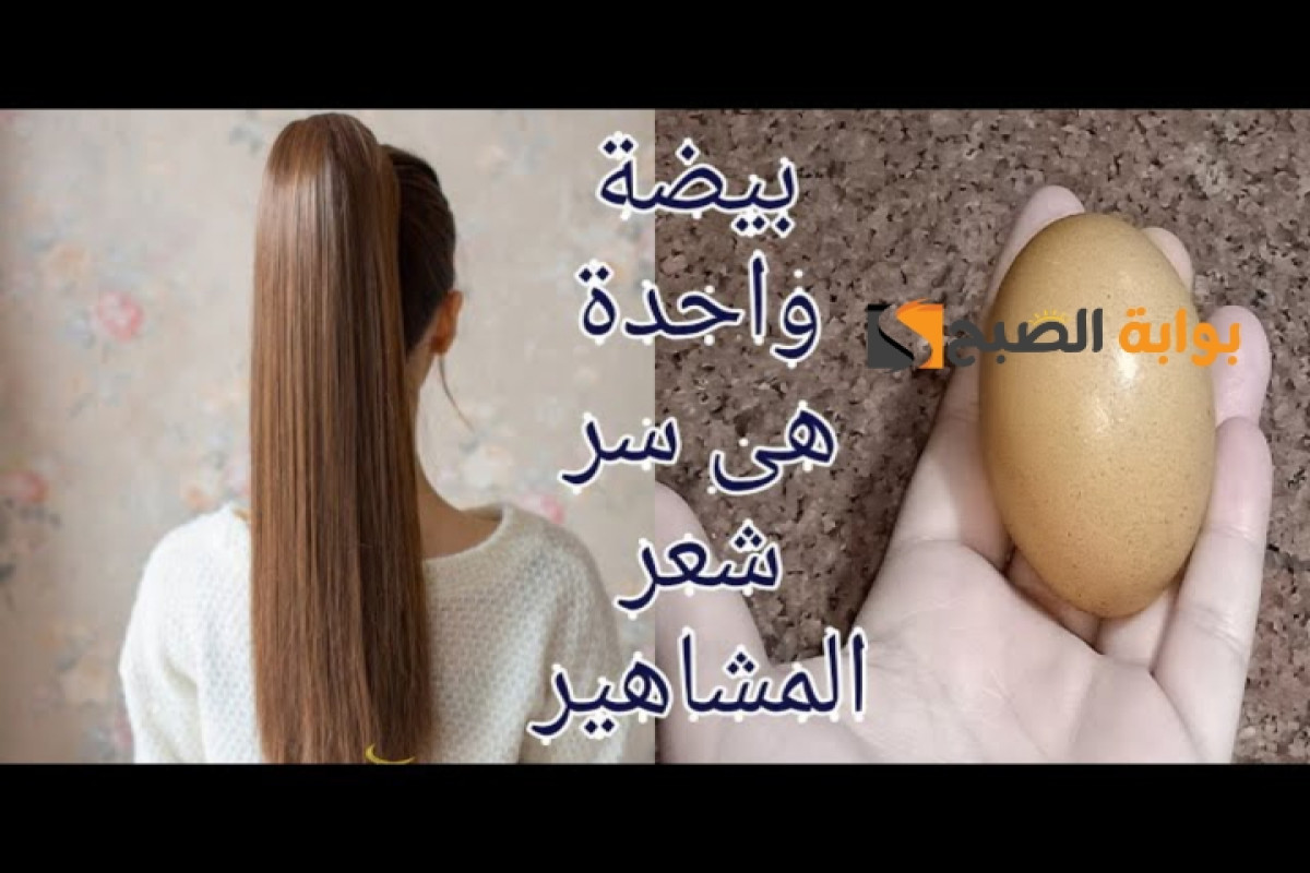 بيضة واحدة ونقطة زيت وصفة لتطويل الشعر بسرعة