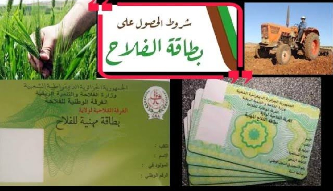 كيفية التقديم على بطاقة الفلاح في الجزائر 2024 عبر madr.gov.dz للحصول على 300 دينار جزائري