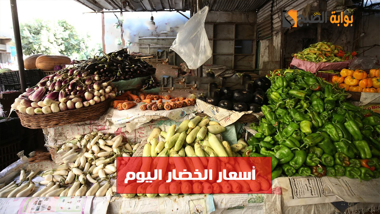 أسعار الخضار اليوم الجمعة 22 نوفمبر وانخفاض سعر الطماطم والبطاطس