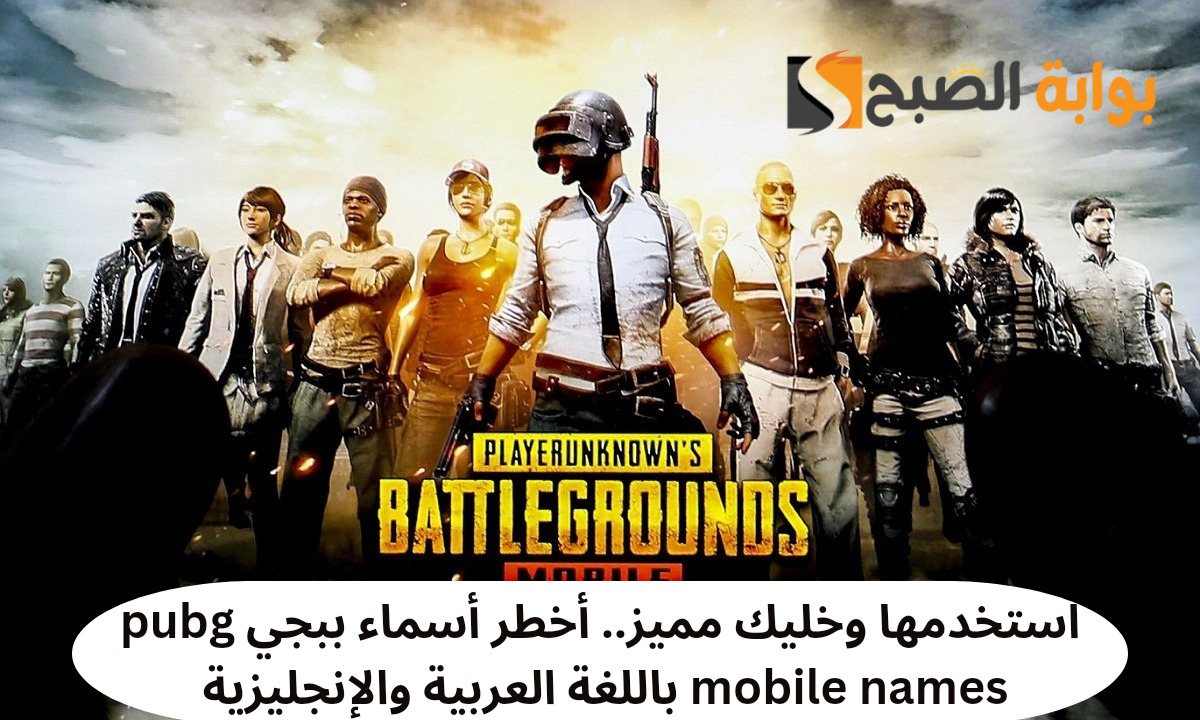 استخدمها وخليك مميز.. أقوى أسماء ببجي 2024 pubg mobile names مزخرفة باللغة العربية والإنجليزية “هتبقى Number one”