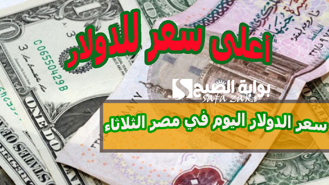 أعلى سعر للدولار .. بعد ارتفاعه سعر الدولار اليوم في مصر الثلاثاء 19 نوفمبر 2024 فى البنوك المصرية
