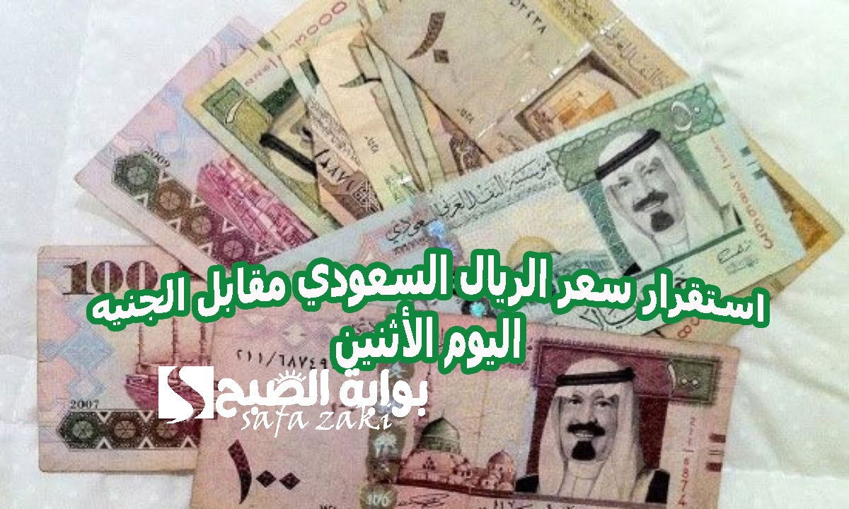 للمعتمرين حتغير ريال بكام .. استقرار سعر الريال السعودي مقابل الجنيه اليوم الأثنين 18 نوفمبر 2024 فى جميع البنوك
