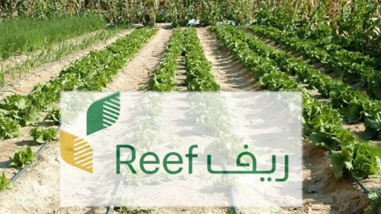 خطوات الاستعلام عن دعم ريف برقم الهويه ورسوم التسجيل في الدعم 