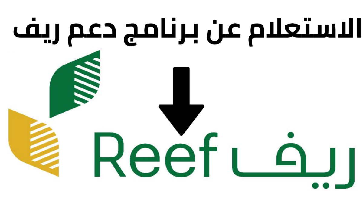 استعلام دعم ريف في المملكة والشروط المطلوبة للحصول الدعم