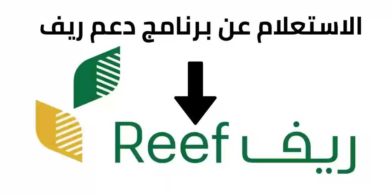 الرابط والخطوات.. طريقة الاستعلام عن دعم ريف برقم الهوية 2024 ومتى ينزل دعم ديسمبر