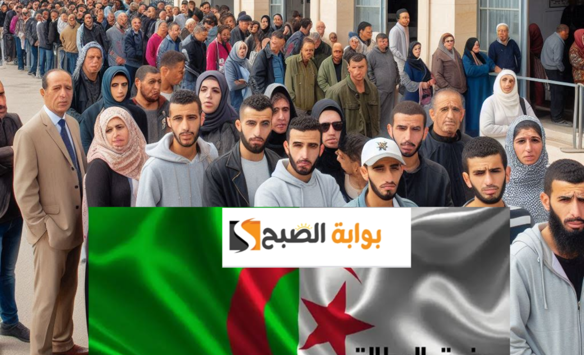 رسمياً موقع الوكالة الوطنية للتشغيل يعلن خطوات التسجيل في منحة البطالة في الجزائر 2024 بالشروط 7