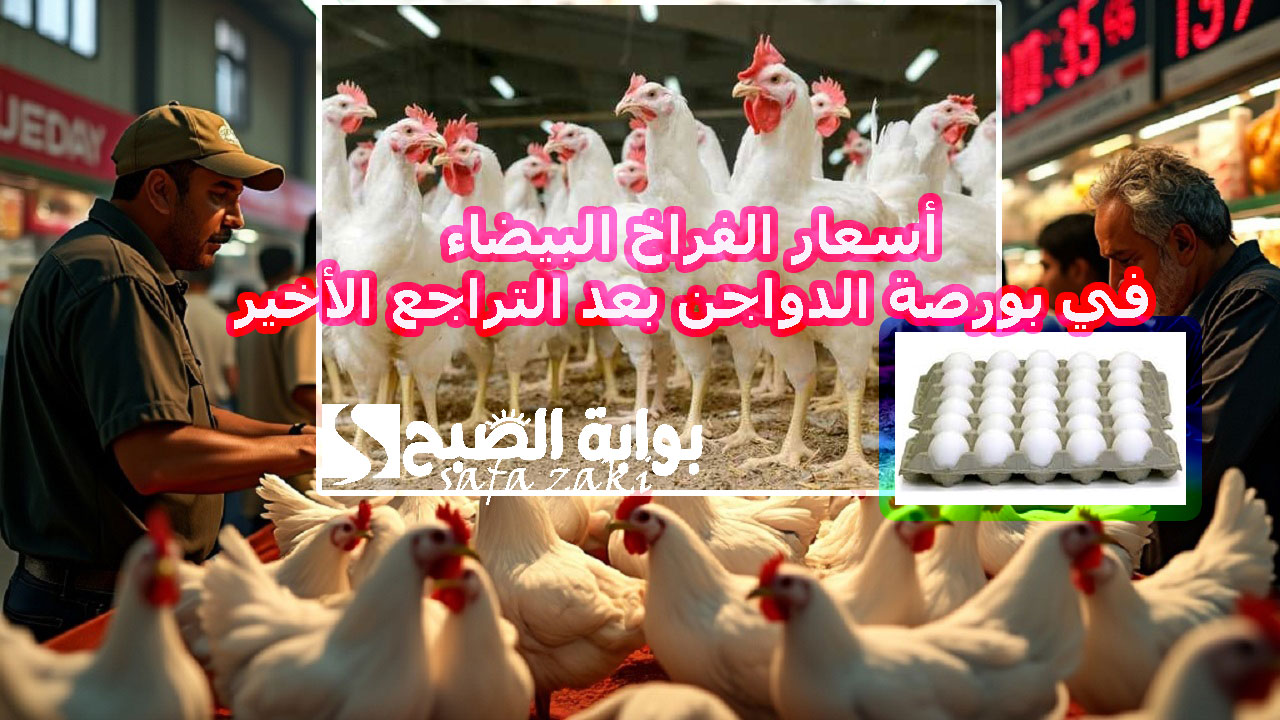 الفرخة وصلت كام ؟.. أسعار الفراخ البيضاء في بورصة الدواجن بعد التراجع الأخير اليوم الثلاثاء 19 نوفمبر 2024 واستقرار  أسعار كرتونة البيض