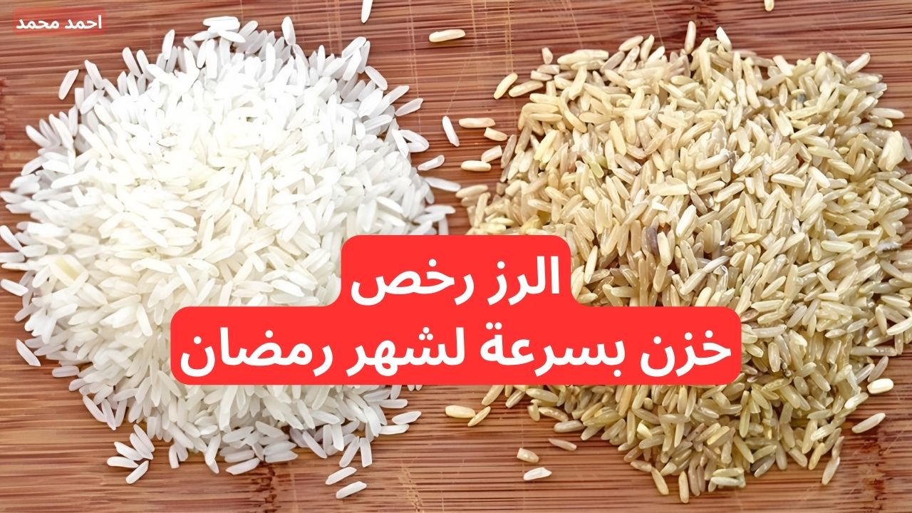 “تراجع حاد في أسعار الأرز الشعير اليوم”.. سعر طن الأرز الشعير اليوم الجمعة 29-11-2024 في الأسواق
