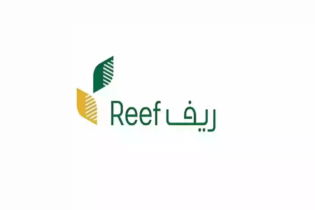 رابط الاستعلام عن دعم ريف 2024 للعاطلين والشروط اللازمة للقبول