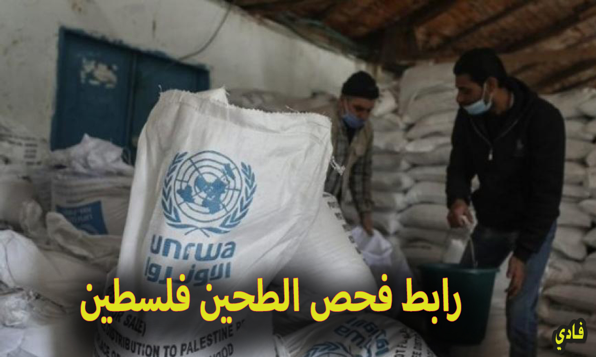 رابط فحص الطحين 2024 في فلسطين unrwa.org وكالة الأونروا للمساعدات الداخلية