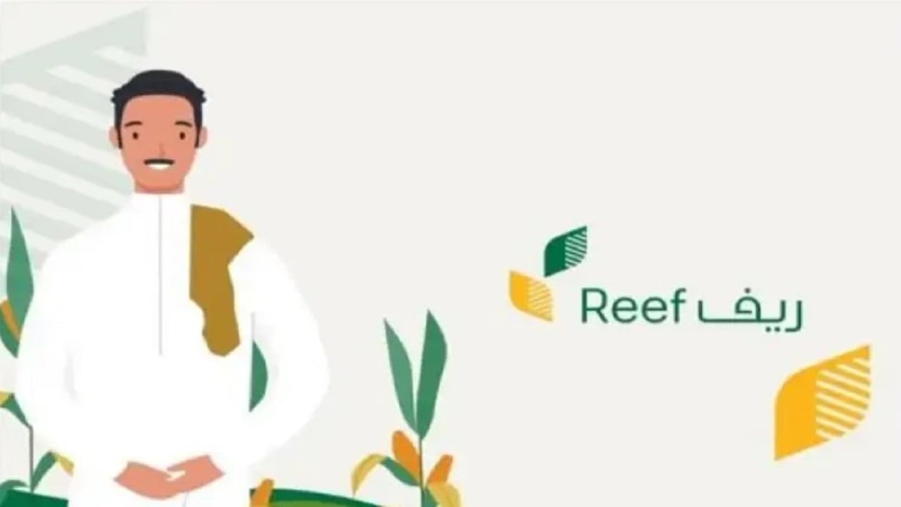 خطوات الاستعلام عن دعم ريف لهذا الشهر برقم الهوية عبر reef.gov وشروط الاستحقاف