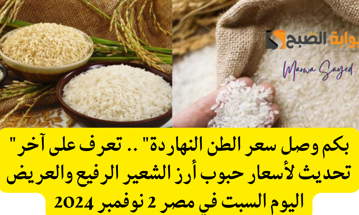 “بكم وصل سعر الطن النهاردة” .. تعرف على آخر تحديث لأسعار حبوب أرز الشعير الرفيع والعريض اليوم السبت في مصر 2 نوفمبر 2024