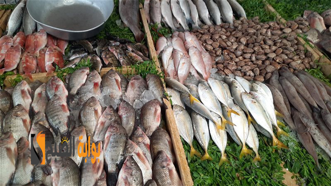 سعر السمك البلطي اليوم من 64 جنيها… أسعار السمك والجمبري اليوم الثلاثاء 5 نوفمبر