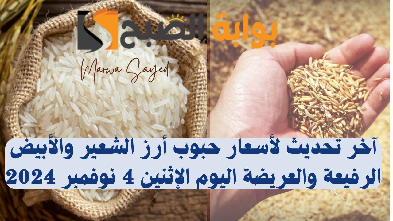 “سعر الطن وصل كام النهاردة” .. آخر تحديث لأسعار حبوب أرز الشعير والأبيض الرفيعة والعريضة اليوم الإثنين 4 نوفمبر 2024