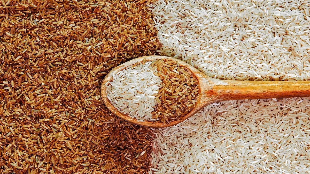 “بعد توقعات انخفاضه”.. سعر طن الأرز الشعير عريض ورفيع الحبة وكم سجل الرز الأبيض في الأسواق؟