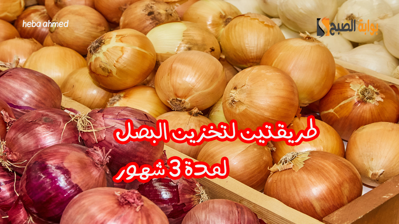 طريقتين لتخزين البصل لمدة ثلاثة شهور بدون أن يفسد أو ينبت