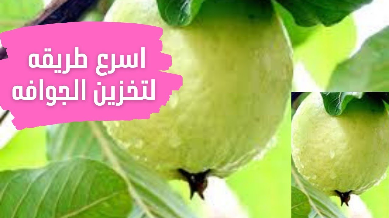 طريقة تخزين الجوافة لمدة عام كامل بدون ما تسود والاحتفاظ باللون والجودة