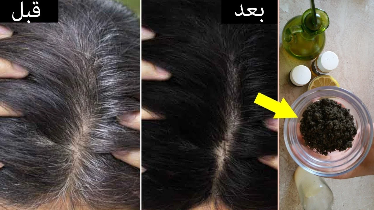 بدون صبغة أو حناء.. طريقة عمل ماسك الأفوكادو للقضاء على الشيب والشعر الأبيض نهائياً خليكي دايمًا جميلة