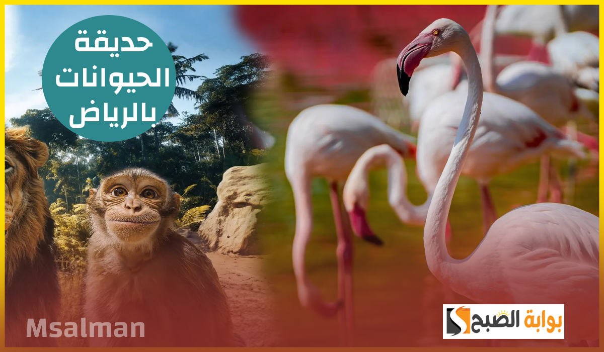 موعد انتهاء فعاليات حديقة الحيوانات بالرياض Riyadh zoo 2024