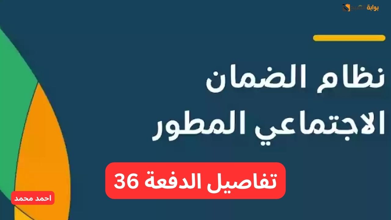 موعد صرف الضمان الاجتماعي الدفعة 36 وكيفية الاستعلام عن نتائج أهلية شهر ديسمبر 2024