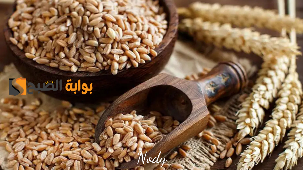 سعر طن الأرز الشعير اليوم الأحد 10 نوفمبر 2024 في السوق المحلي الحبة الرفيعة والعريضة