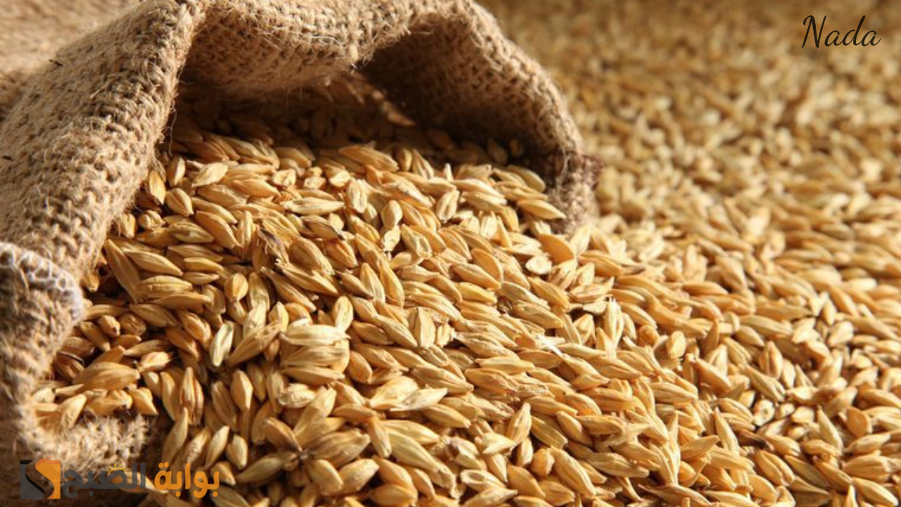 سعر طن الأرز الشعير في السوق المحلي اليوم وجميع المنافذ للمستهلك