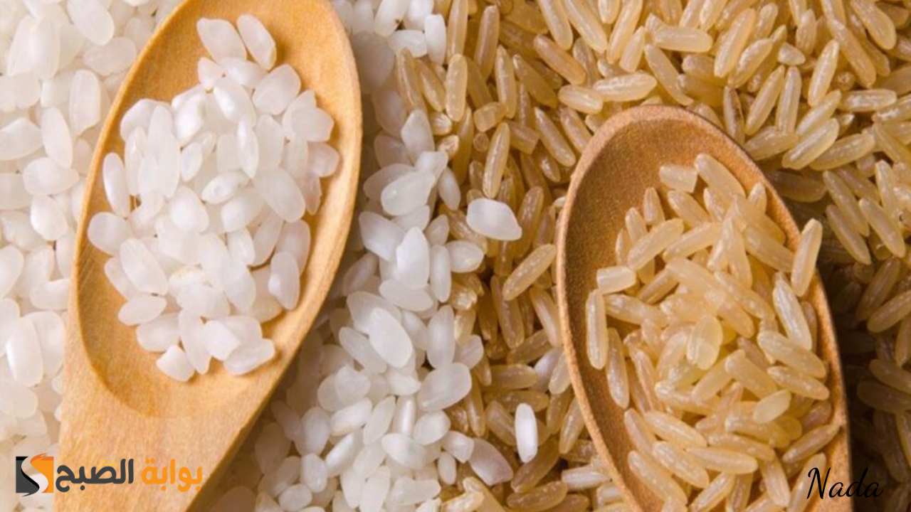أسعار طن أرز الشعير اليوم الأحد في السوق المحلي والمستهلك