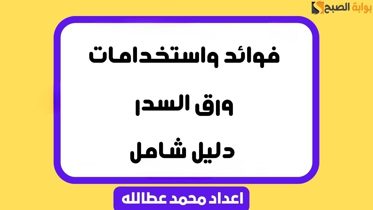 فوائد واستخدامات ورق السدر .. دليل شامل