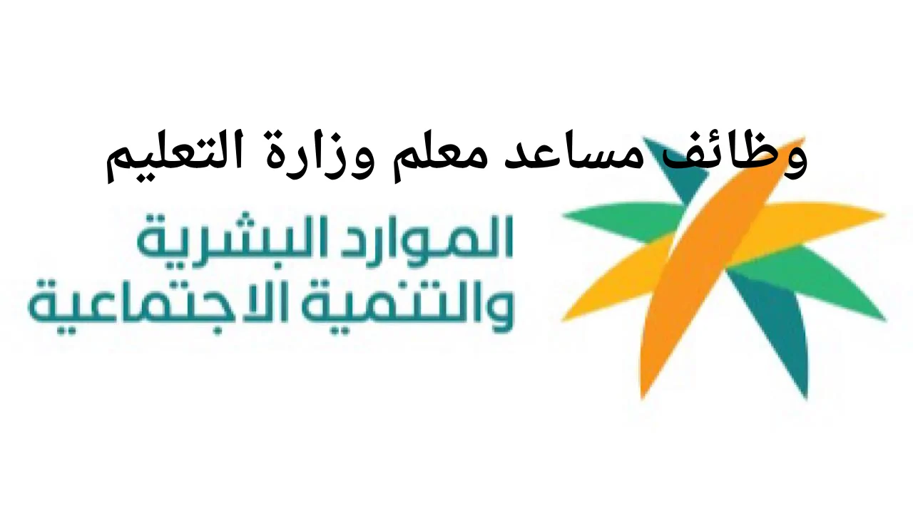 فرصة للخريجين.. رابط التقديم على وظيفة معلم مساعد ومعلم ممارس في السعودية 1446