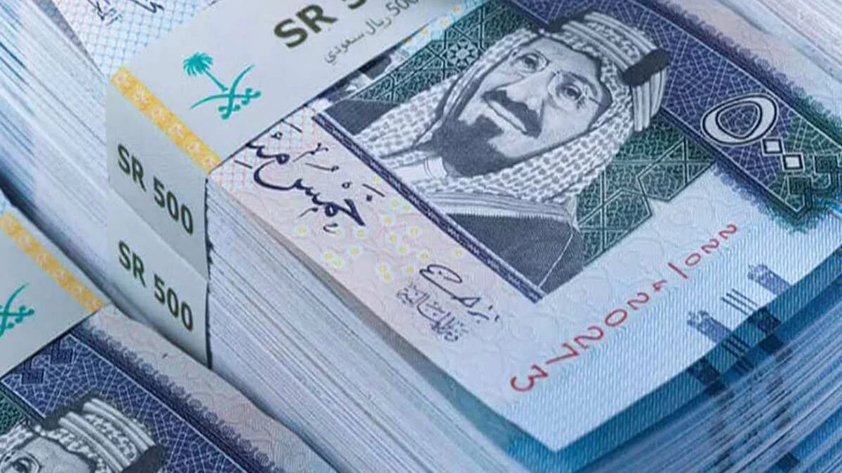 متى ينزل راتب الضمان الاجتماعي جمادي الأول 1446/ ديسمبر 2024؟