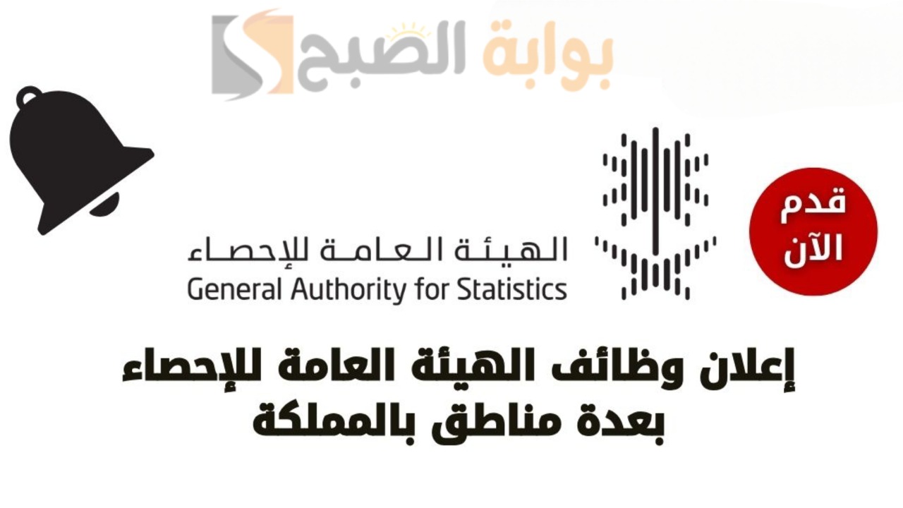 قدم الان.. طرح وظائف مميزة ومناسبة للجنسين حملة البكالوريوس من جانب الهيئة العامه للاحصاء بشروط بسيطة