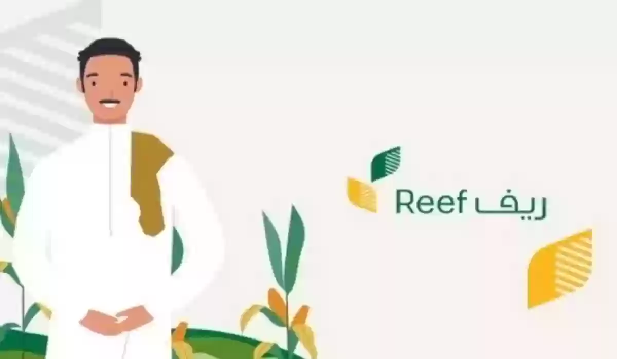 reef.gov.sa .. رابط الاستعلام عن دعم ريف لهذا الشهر ديسمبر 2024