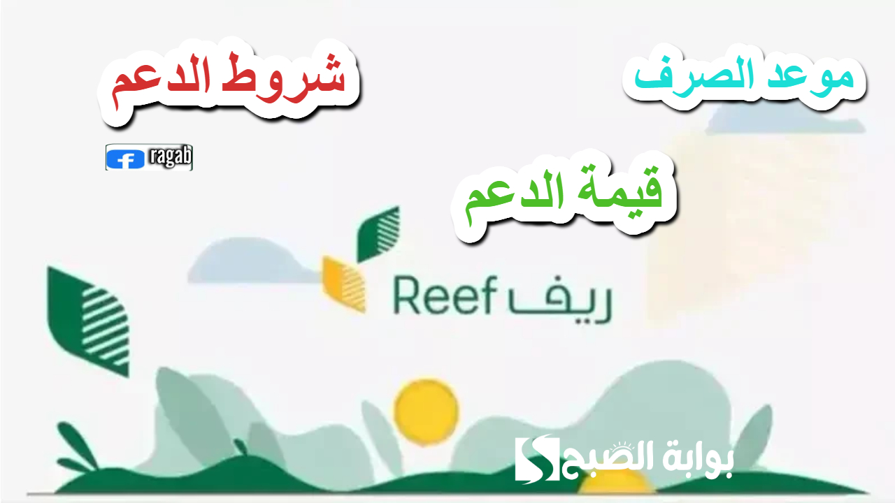 دعم ريف شهر يناير 2025 تفاصيل هامة توضحها الوزارة حول الموعد والاستحقاق وقيمة الدعم