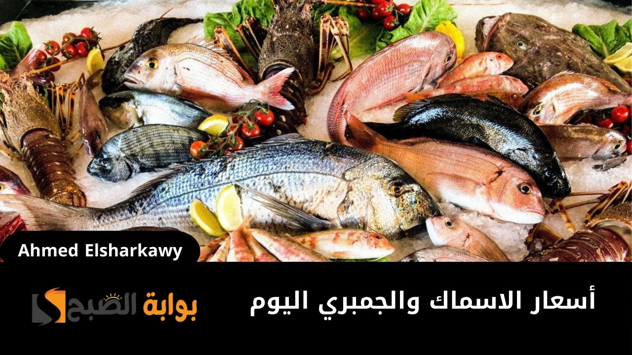 أسعار الاسماك والجمبري اليوم الثلاثاء 31 ديسمبر 2024 في الأسواق