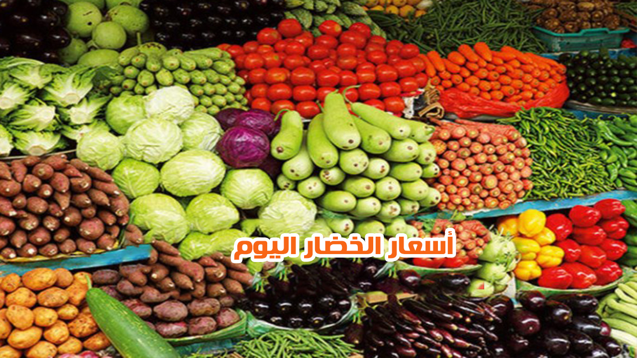 تراجع الطماطم والبطاطس… أسعار الخضار اليوم السبت 7 ديسمبر 2024