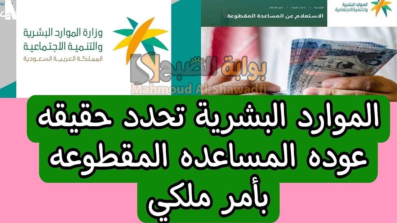 أمر ملكي.. عودة صرف المساعدة المقطوعة لشهر يناير 2025 “الموارد البشرية” توضح الحقيقة
