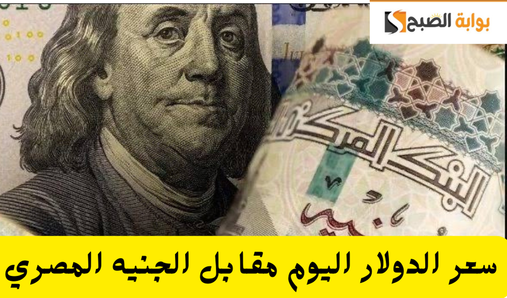 ارتفاع أم انخفاض.. سعر الدولار اليوم مقابل الجنيه المصري الإثنين 30 ديسمبر 2024 في البنوك للشراء والبيع