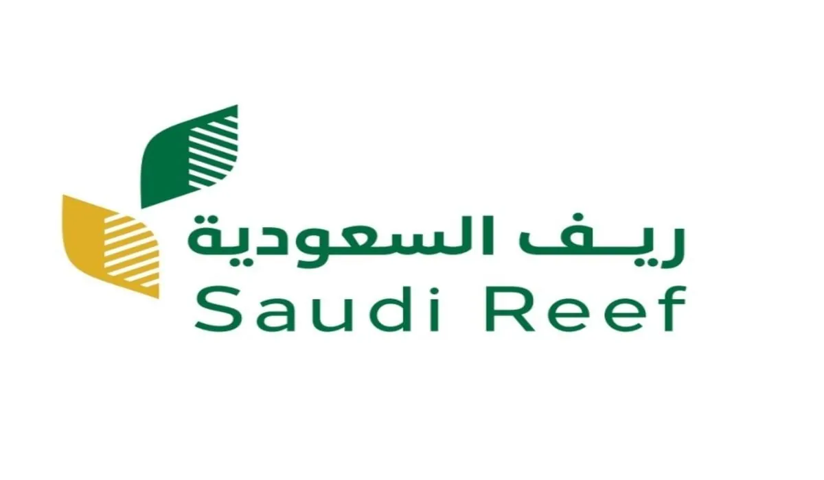 رابط استعلام عن دعم ريف عبر reef.gov ديسمبر 2024 والشروط المطلوبة