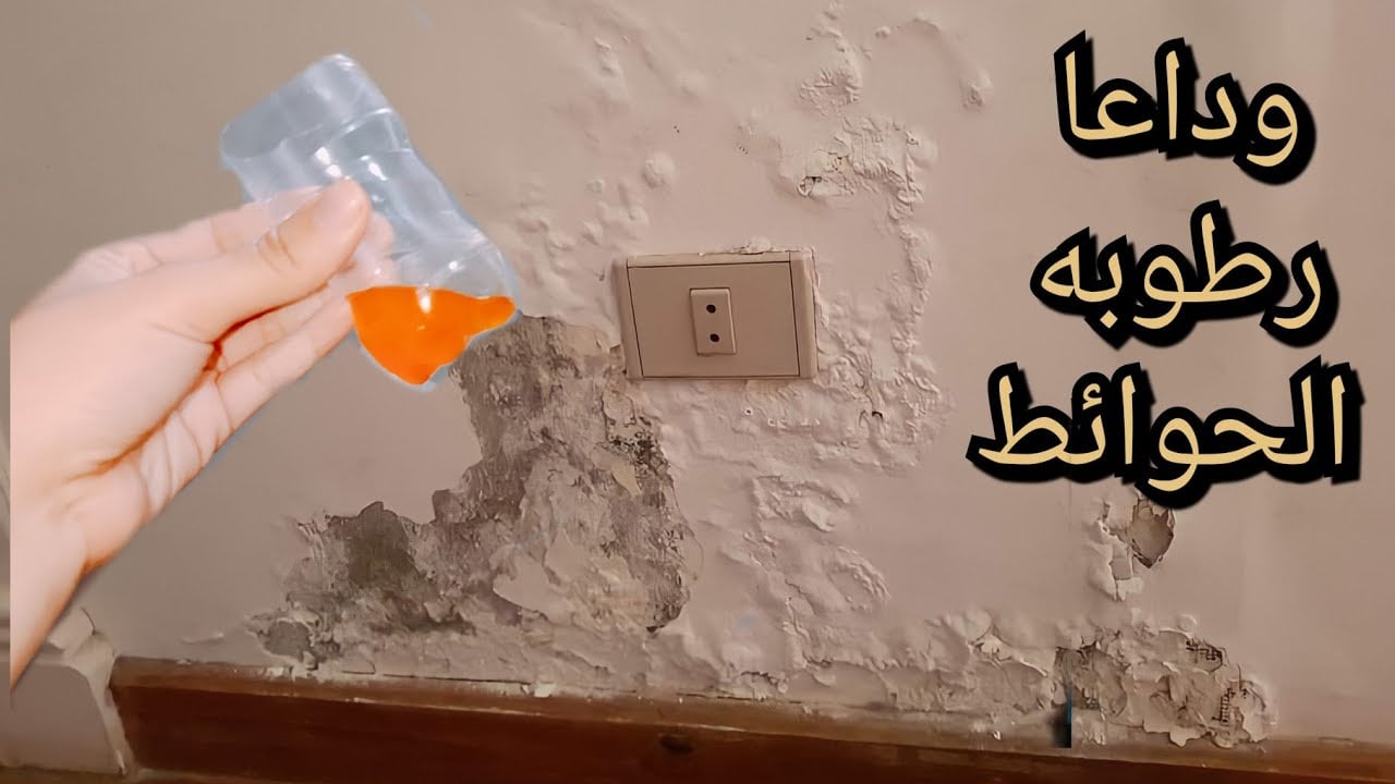 علاج رطوبة الحوائط و الجدران للابد لن تري الرطوبة مرة اخري بعد هذه الوصفة السحرية وبدون نقاش