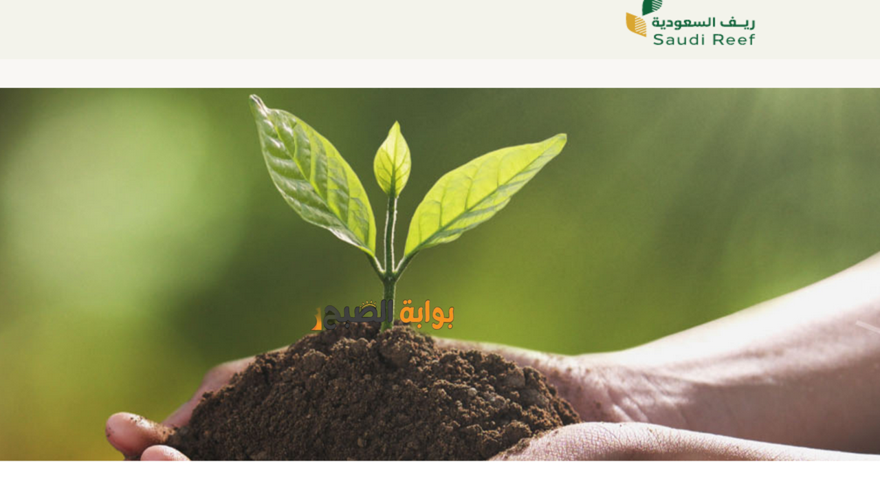 ما هي شروط التسجيل في برنامج ريف ؟.. وزارة البيئة توضح