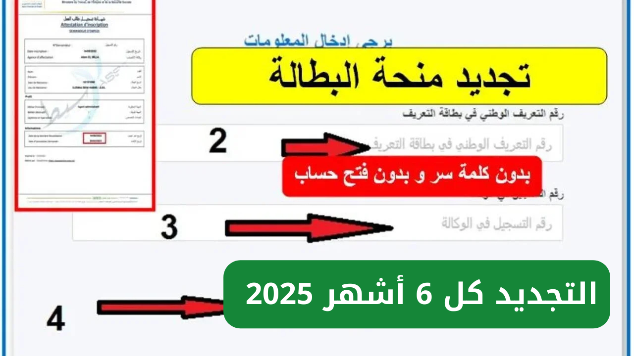 anem.dz رابط تجديد منحة البطالة كل 6 أشهر 2025 وأهم الشروط المطلوبة عبر الوكالة الوطنية للتشغيل