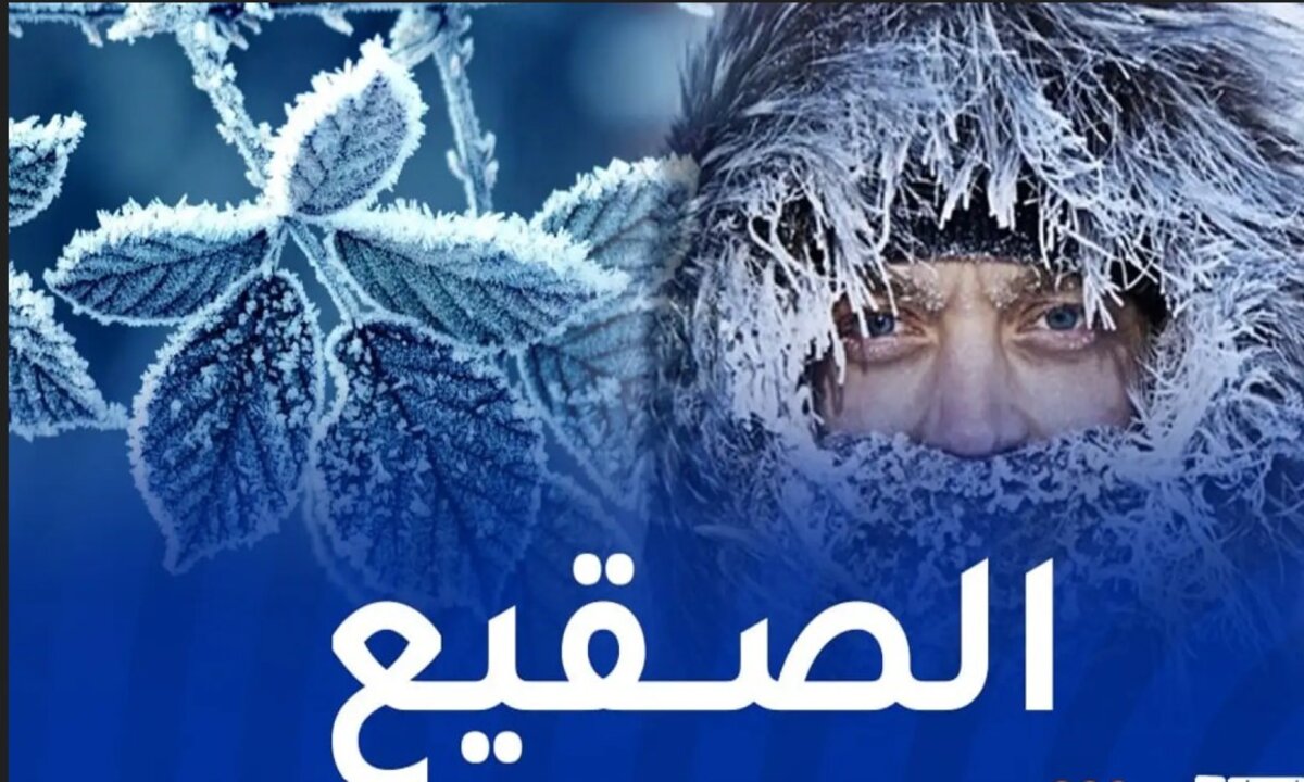 عاجل للجزائريين.. عدم الخروج من المنزل إلا للضرورة القصوى والحذر من طقس اليوم