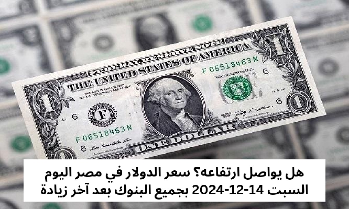 هل يواصل ارتفاعه؟ سعر الدولار في مصر اليوم السبت 14-12-2024 بجميع البنوك بعد آخر زيادة