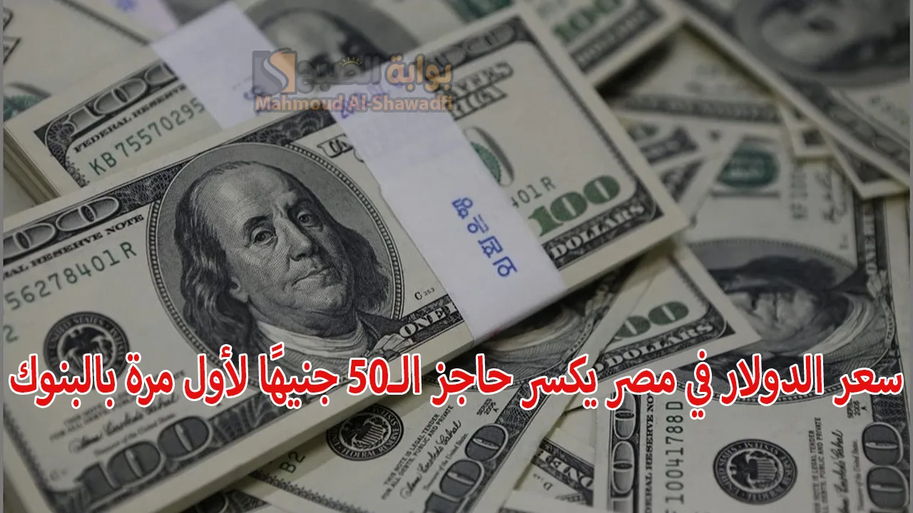 “ارتفاع تاريخي”.. سعر الدولار في مصر يكسر حاجز الـ50 جنيهًا لأول مرة بالبنوك