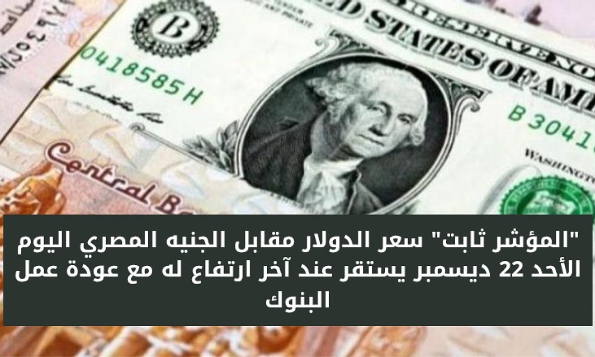 “المؤشر ثابت” سعر الدولار مقابل الجنيه المصري اليوم الأحد 22 ديسمبر يستقر عند آخر ارتفاع له مع عودة عمل البنوك