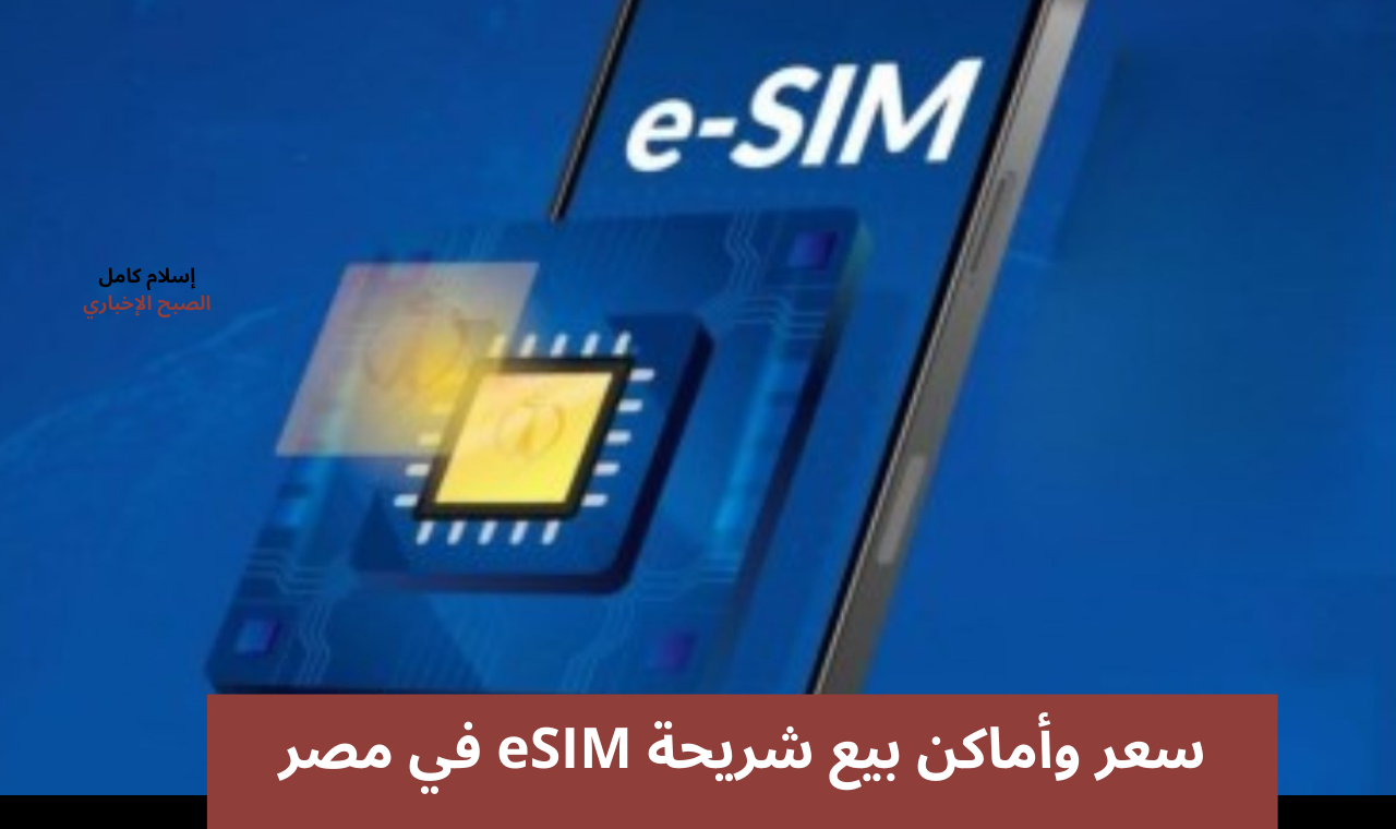 تعرف على سعر شريحة eSIM في مصر؟ وأماكن بيع الشريحة الإلكترونية في القاهرة والإسكندرية